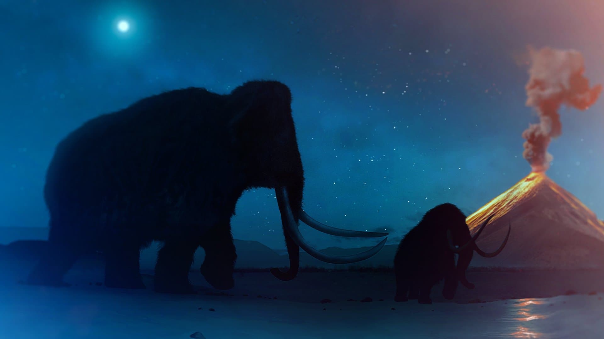 La vida de Marta Díaz